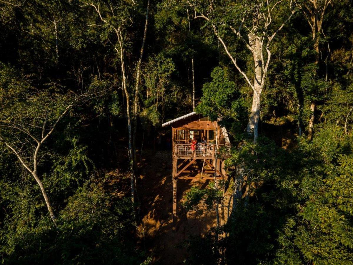 Pumarinri Amazon Lodge Tarapoto Extérieur photo