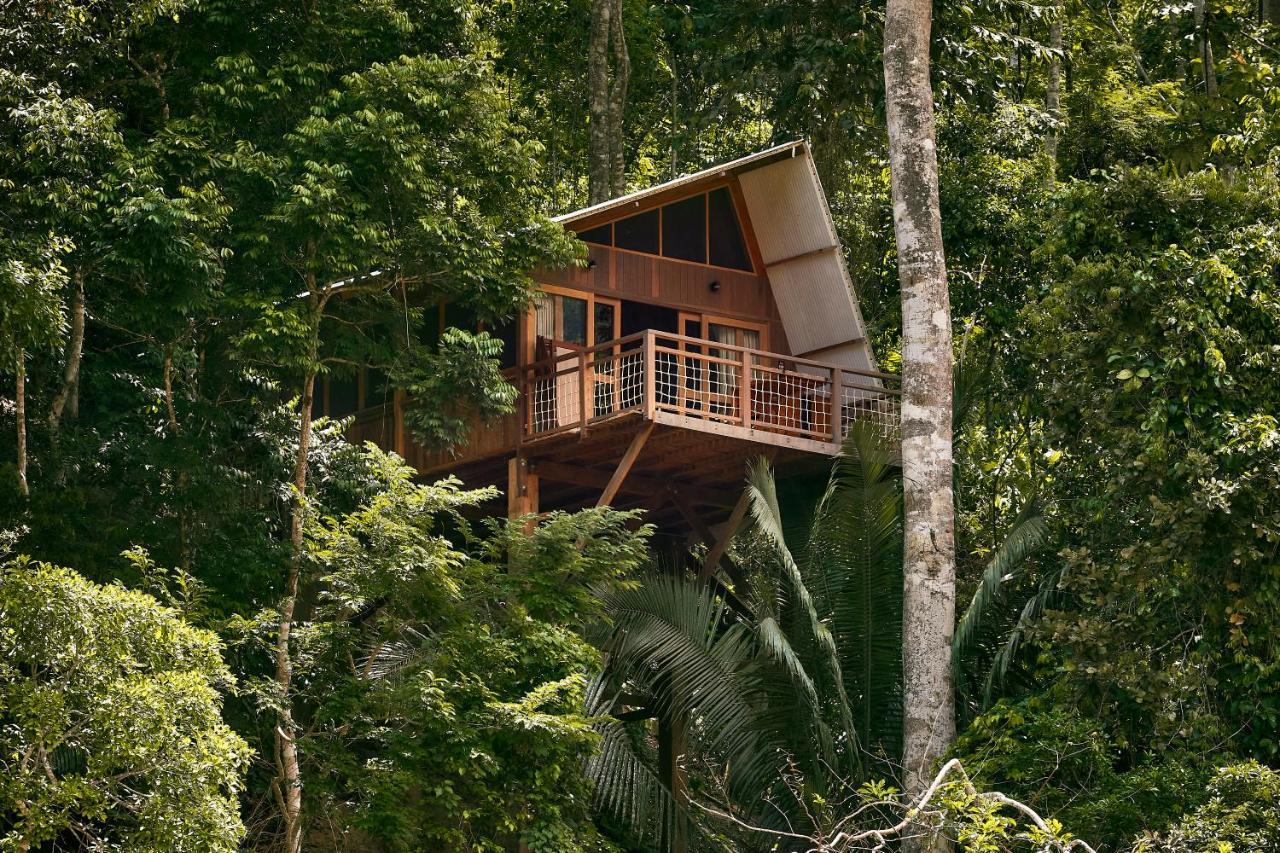 Pumarinri Amazon Lodge Tarapoto Extérieur photo