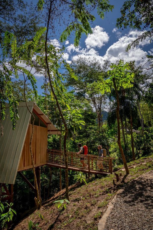 Pumarinri Amazon Lodge Tarapoto Extérieur photo