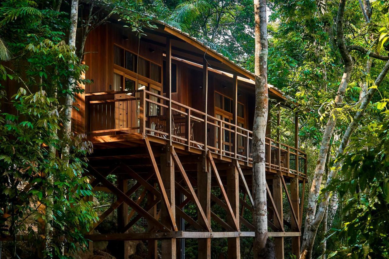 Pumarinri Amazon Lodge Tarapoto Extérieur photo