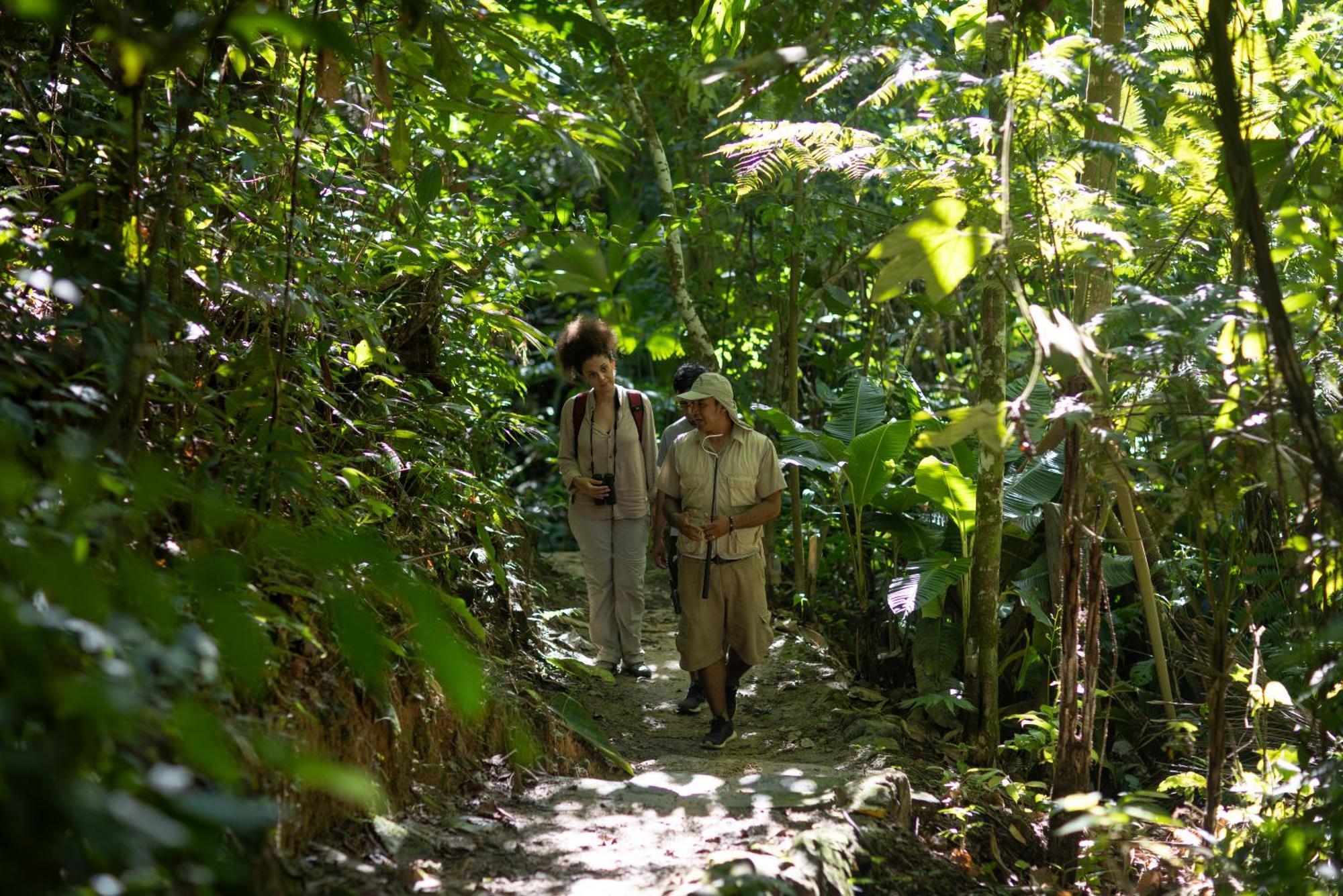 Pumarinri Amazon Lodge Tarapoto Extérieur photo